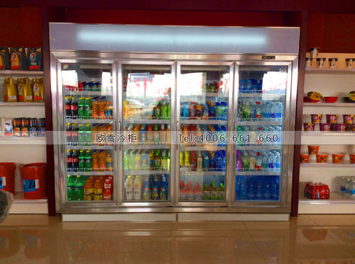 A243湖北省孝感市汉川市加油站展示冰柜