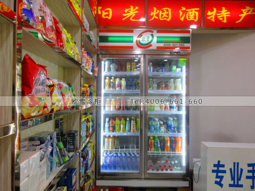 A261重庆市江北区烟酒超市双门冰柜