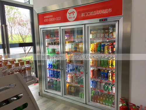 A355四川省成都市天府新区雅堂小超饮料冷柜