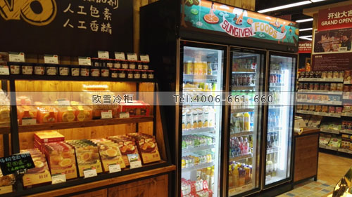 A303福建省厦门市思明区元初食品饮料冷藏展示柜