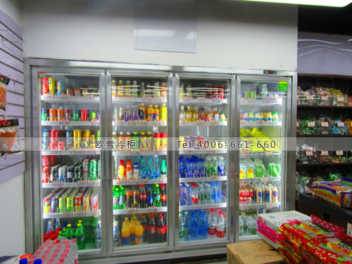A262江苏省南京市白下区多枝彩零食展示冰柜