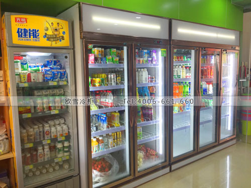 A302湖北省武汉市江夏区乐宝便利店饮料冷藏柜