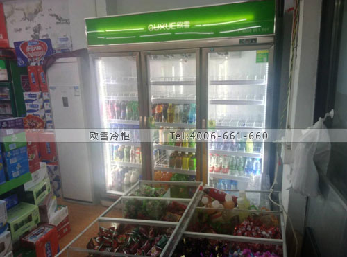 A296重庆市沙坪坝区俊达超市饮料冷藏柜