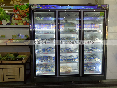 B017广东省东莞市茶山镇3号码头海鲜超市冷冻柜