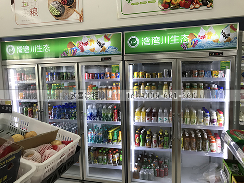 A411浙江省杭州市滨江区湾湾川生态便利店冰柜