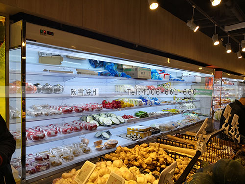 B100上海市静安区铜仁菜场超市冷藏冷冻柜