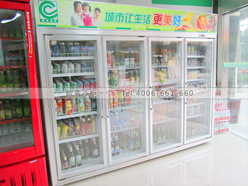 B065江苏苏州工业园区城市生活超市饮料冷柜