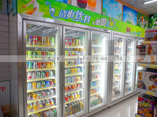 B081东莞南城台冠进口食品超市饮料展示冷柜