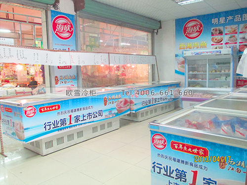 B098东莞万江拔蛟窝市场食品冷冻展示柜-低温冷冻保鲜展示柜