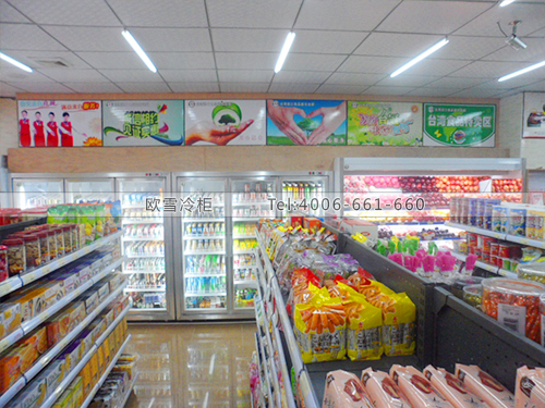 B062东莞东城台冠进口食品超市饮料展示冷柜