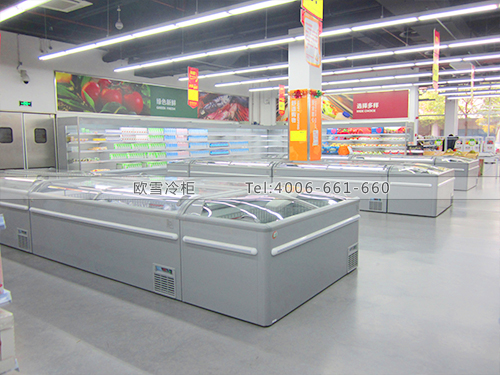 B169上海浦东新区进口商品直销中心超市冷柜