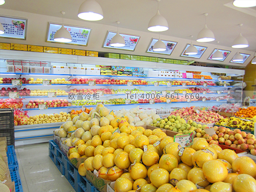 B245上海浦东联心果品批发水果超市保鲜柜