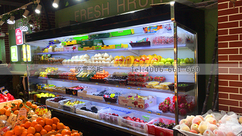 B224上海市闵行区优果园水果保鲜冷藏柜
