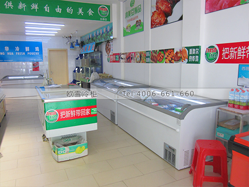 B208上海鲜可生活超市冷柜