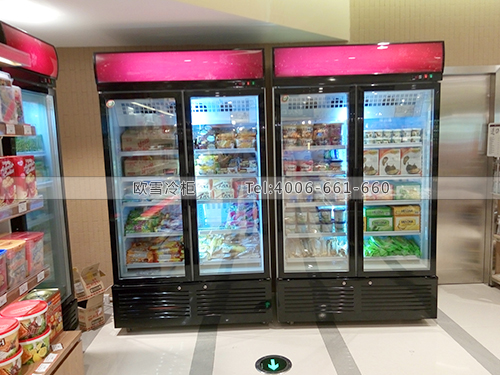 B324湖北武汉新世界广场立式冷藏冷柜冰柜