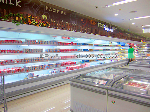 B391上海奉贤外高桥进口商品直销中心超市冷柜