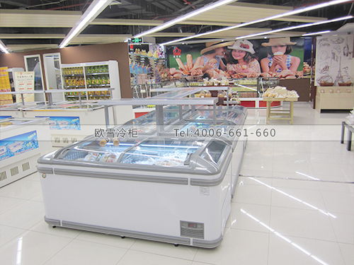 B265上海闵行莲花国际广场东品西食超市冷柜