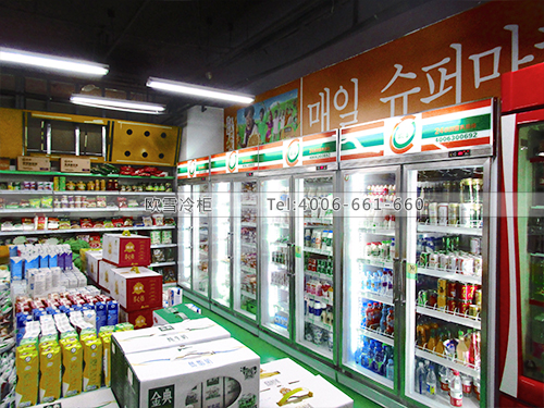 B356北京每日超市双门冷柜冰柜