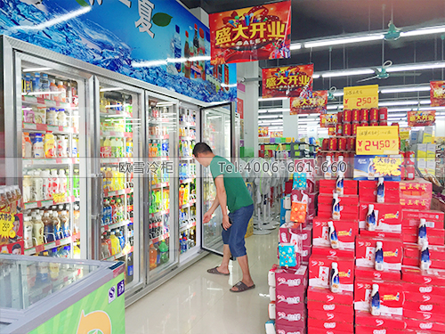 B429广州天河正德乐购超市冷冻柜