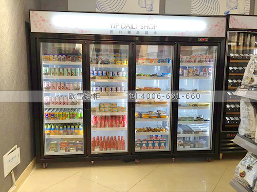B518天津塘沽进口精品超市冷藏冷冻冰柜