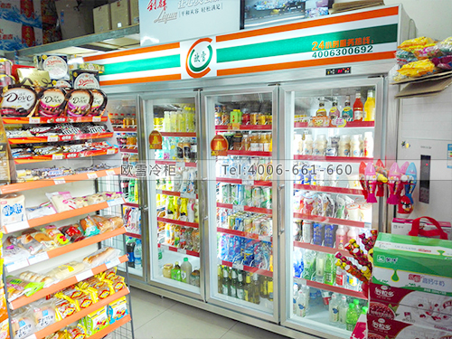 B516四川成都高新区祥瑞超市冷柜