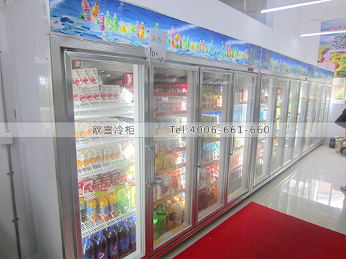 B450深圳南山海河桥生活超市冷柜