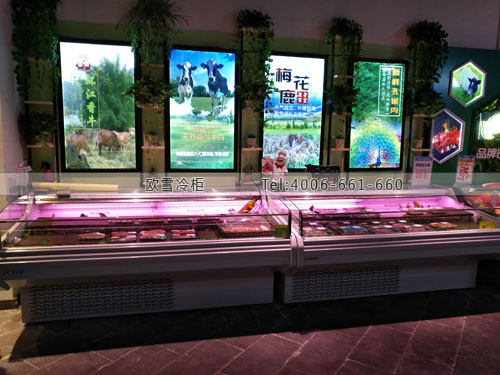 B542广西省南宁市丰润家超市鲜肉展示柜