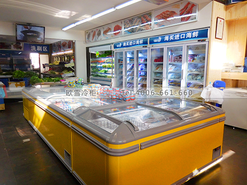 B538福建厦门思明伟奇海买生鲜超市冷柜冰柜