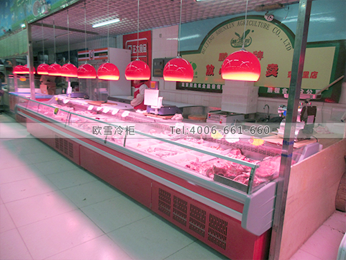 B469北京丰台蒲安居菜市场冷藏保鲜冷柜冰柜