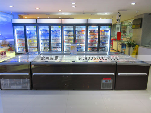 B567重庆市渝北区天天送海鲜超市冷冻展示柜