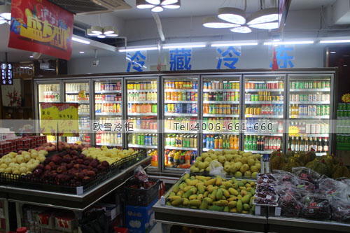 B526广东省深圳市福田区惠多生活超市冷藏冷冻柜
