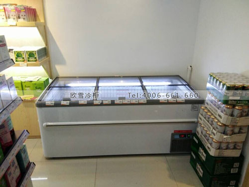 B584广西省南宁市快乐翼佰跨境购超市冰柜