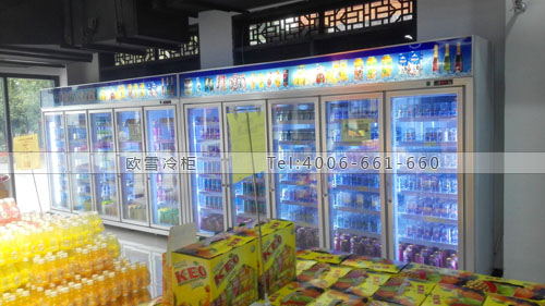 B553四川成都EAF国际直采（黄龙溪）保税中心超市冷柜