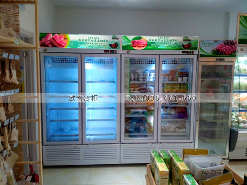 B560北京市朝阳区有机村超市冰柜