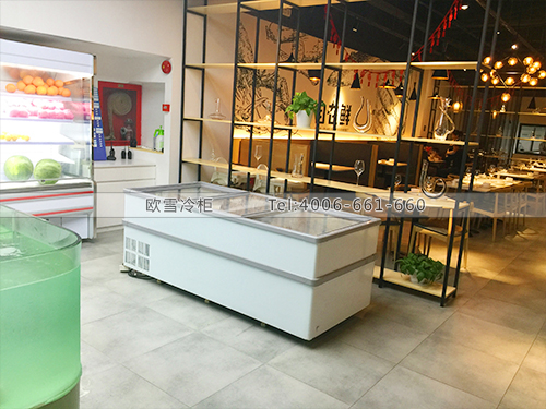 B551深圳龙华新区自在鲜水果保鲜柜卧式冷冻柜