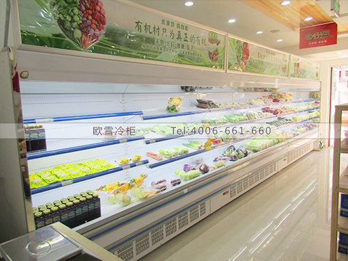 B555北京西城中线渠首有机村超市蔬菜保鲜柜