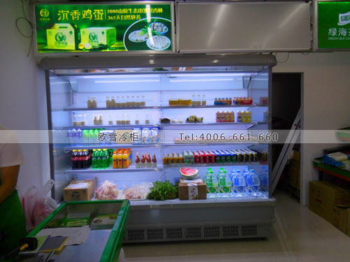 B589福建省厦门市湖里区绿之海超市风幕柜