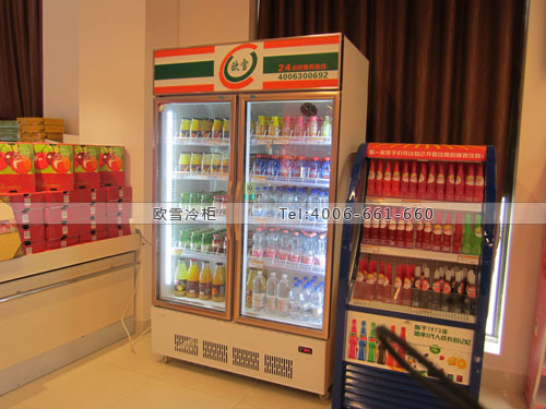 B659上海市宝山区D.I.G超市饮料展示冰柜