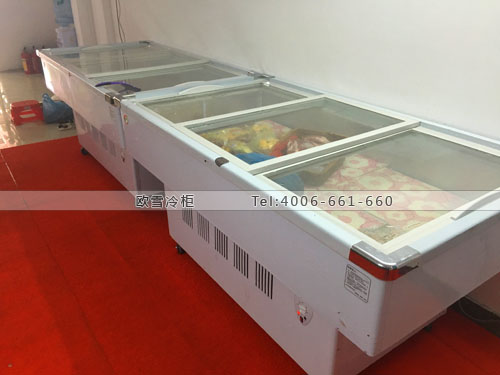 B667广东省广州市番禺区快乐农夫卧式冰柜