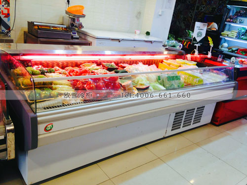 B650福建省厦门市思明区友家生鲜超市冰柜