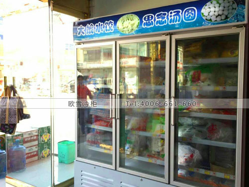 B608江苏省盐城市响水县农家乐超市冷冻展示柜