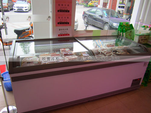 B633上海市松江区松林猪肉冷冻展示柜
