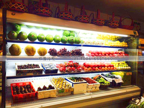 B590四川省乐山市市中区张核桃鲜果店冷藏展示柜