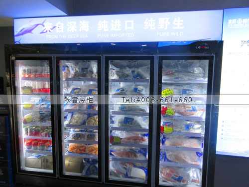 B681重庆市渝北区冰鲜时代立式低温冷冻柜