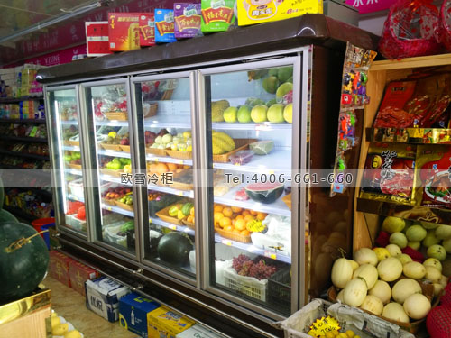 B605湖南省长沙市为众超市冰柜