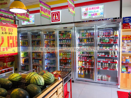 B593湖南省长沙市长沙县日美日盛超市冰柜