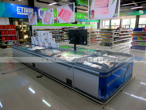 B597北京市大兴区亦庄保税直购中心超市冷冻展示柜
