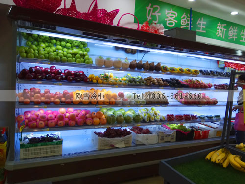 B857湖南省长沙市芙蓉区好客鲜生超市冷藏柜