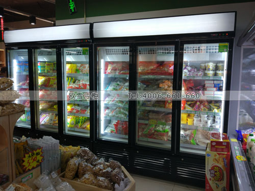 B741河北省廊坊市广阳区联美生活超市冷藏冷冻柜