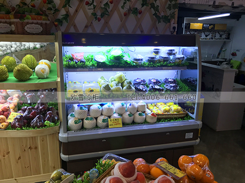 B808湖北省武汉市洪山区篮子水果超市保鲜柜